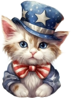a 4th of july kitty
